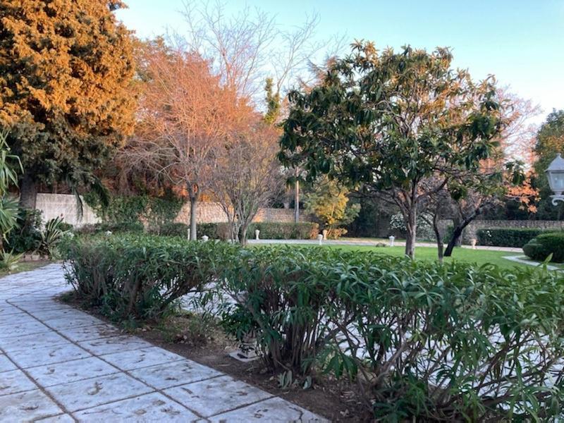 Gite Comme A La Maison Hyeres Exterior photo